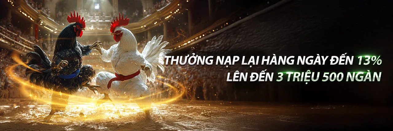 Tổng quan về 7hu88, một nền tảng cá cược trực tuyến chuyên nghiệp tại Việt Nam